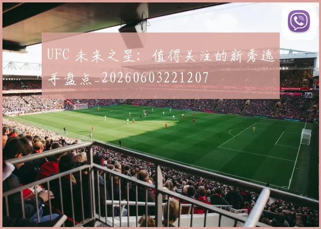 UFC 未来之星：值得关注的新秀选手盘点_20260603221207