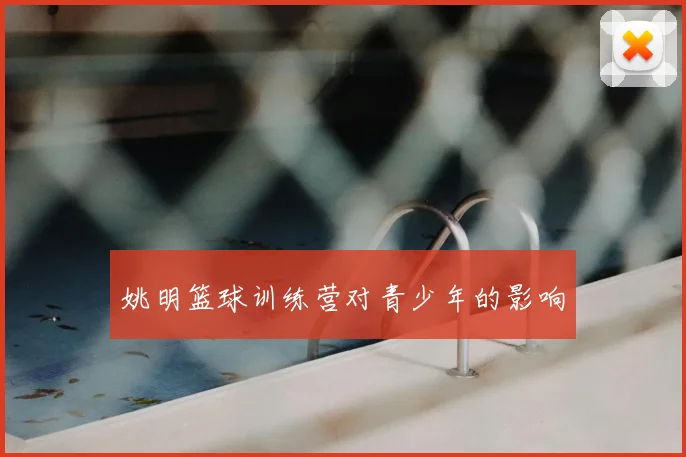 姚明篮球训练营对青少年的影响